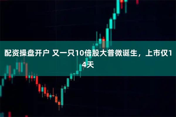配资操盘开户 又一只10倍股大普微诞生，上市仅14天